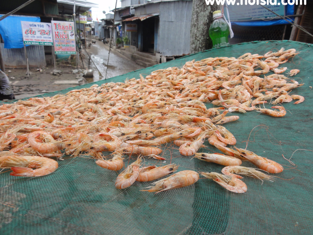 จังหวัดกาเมา(Ca Mau) เมืองดัทมุ๋ย(Dat Mui)