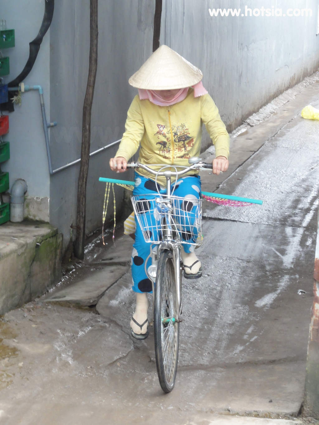 จังหวัดกาเมา(Ca Mau) เมืองดัทมุ๋ย(Dat Mui)
