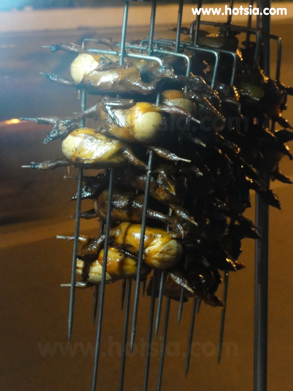 จังหวัดก่าเมา(Ca Mau vietnam) ย่างไข่ในท้องนก