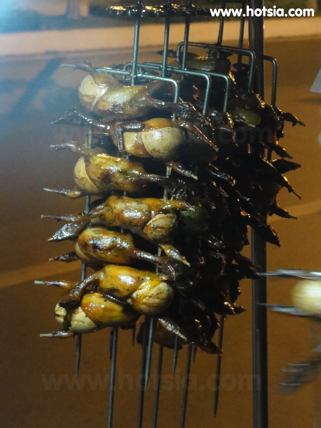 จังหวัดก่าเมา(Ca Mau vietnam) ย่างไข่ในท้องนก