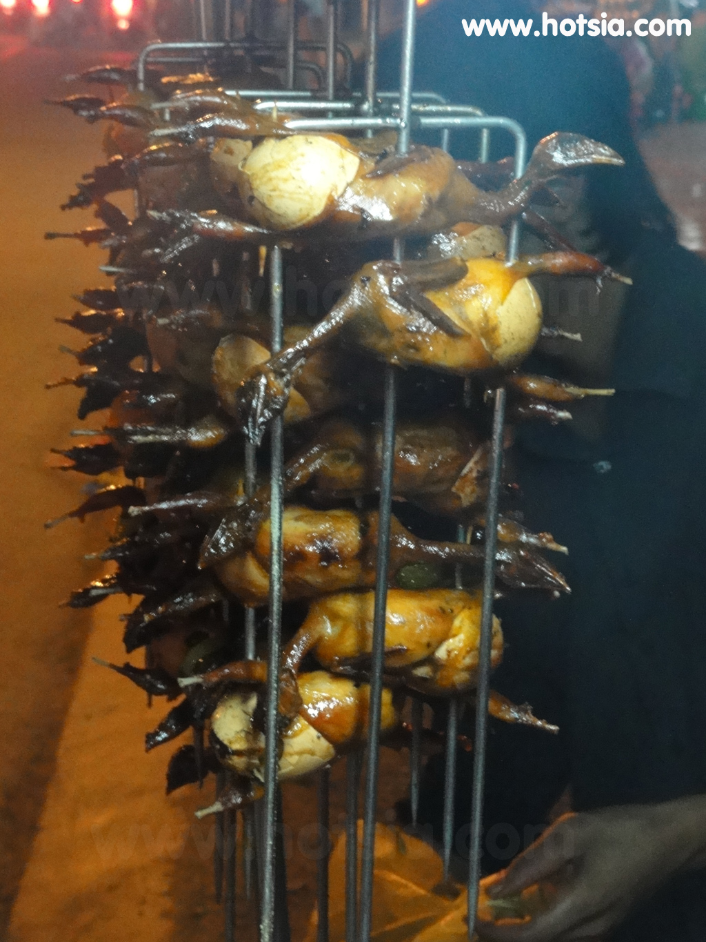 จังหวัดก่าเมา(Ca Mau vietnam) ย่างไข่ในท้องนก