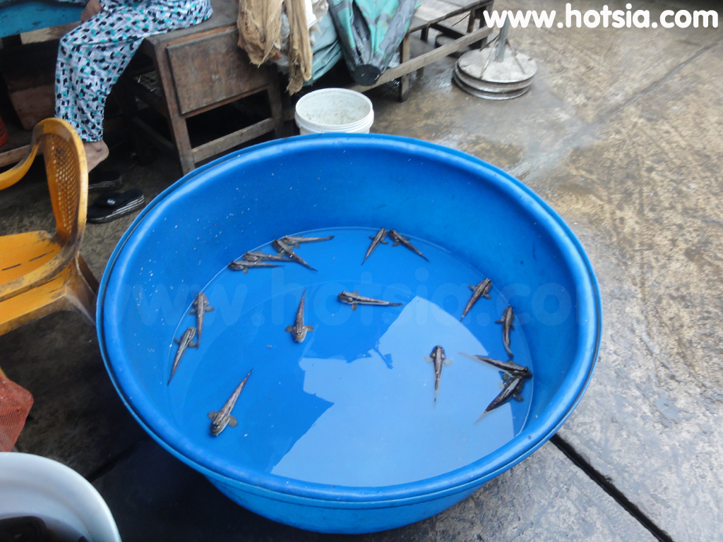 จังหวัดก่าเมา(Ca Mau vietnam) ตลาดกาเมา