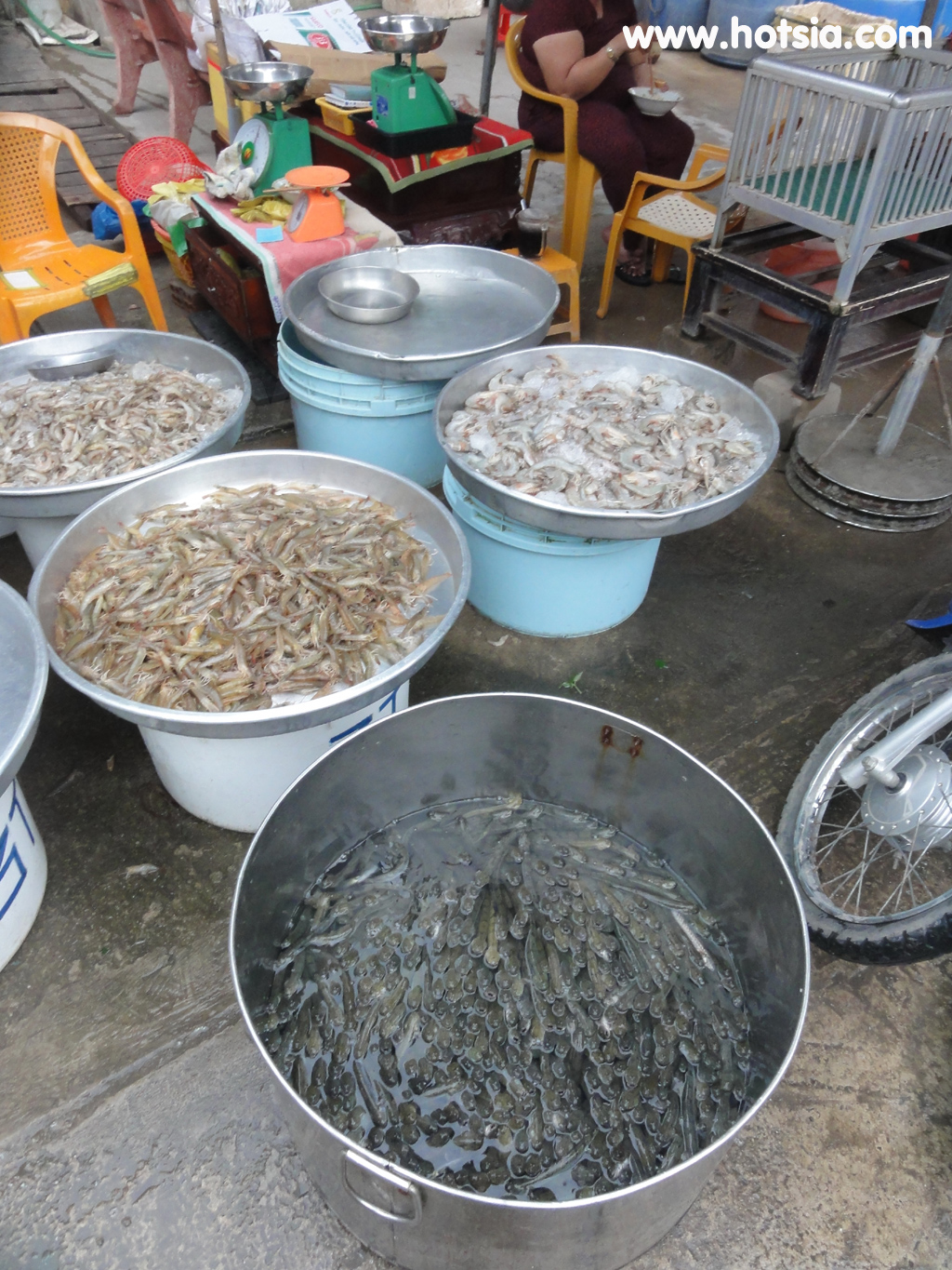 จังหวัดก่าเมา(Ca Mau vietnam) ตลาดกาเมา