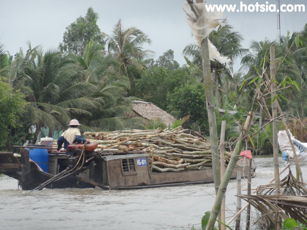 จังหวัดคันโถ (เกิ่มเทอ Can Tho) เรือโดยสารจากจังวัดกาเมา (Ca Mau) มา เกิ่นเทอ (Can Tho)