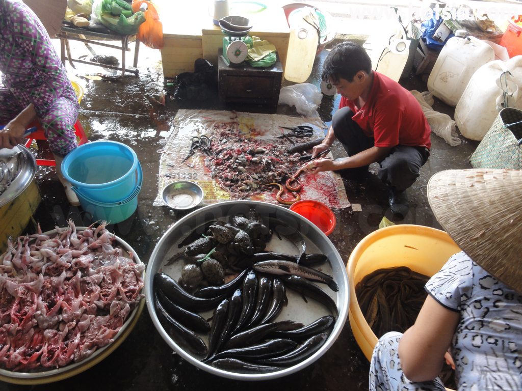 จังหวัดคันโถ (เกิ่มเทอ Can Tho) ตลาดเมืองเกิ่นเทอ (คันโถ)