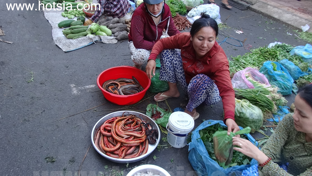 จังหวัดด่งนาย ตลาดเช้าดงไน