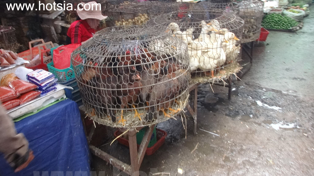 จังหวัดญาลาย ตลาดเช้าเปลกู ญาลาย