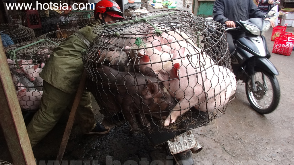จังหวัดญาลาย ตลาดเช้าเปลกู ญาลาย