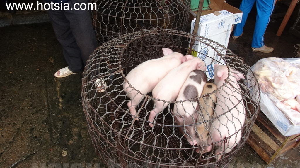 จังหวัดญาลาย ตลาดเช้าเปลกู ญาลาย