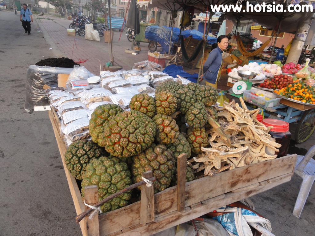 เมืองห่าเทียน ตลาดปลาเมืองห่าเทียน เวียดนาม