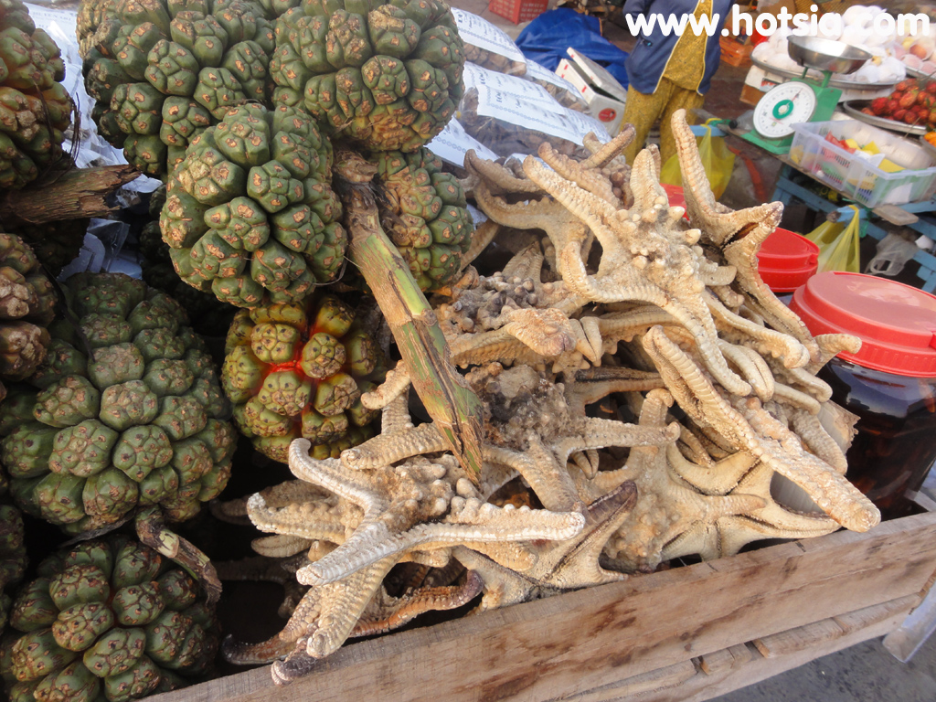 เมืองห่าเทียน ตลาดปลาเมืองห่าเทียน เวียดนาม