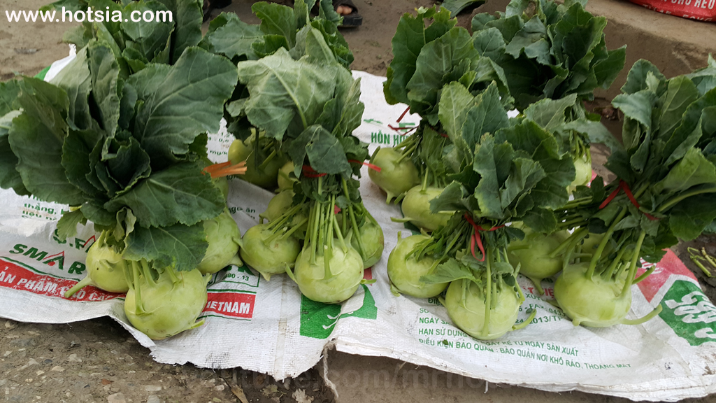 Ha Nam Province Ha Nam Province Morning Market