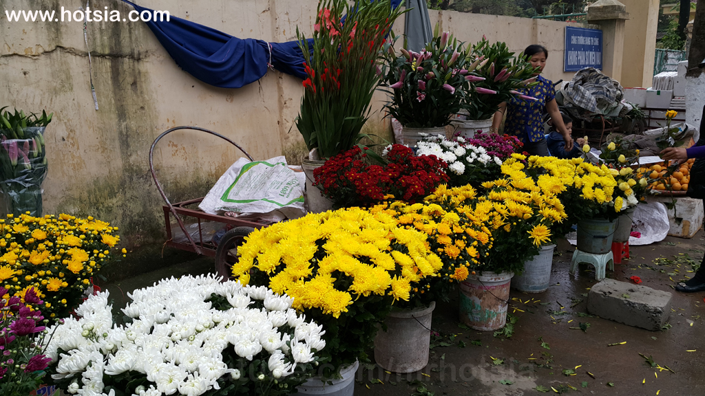 Ha Nam Province Ha Nam Province Morning Market image 8