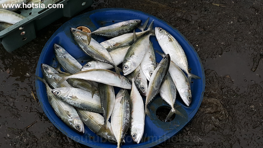 จังหวัดห่าติ่ญ ตลาดเช้า ตลาดเย็น จังหวัดห่าติ่ญ