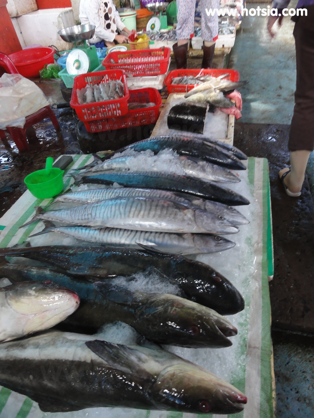 เกาะฟู้ก๊วก ตลาดเช้าเกาะฟู้ก๊วก