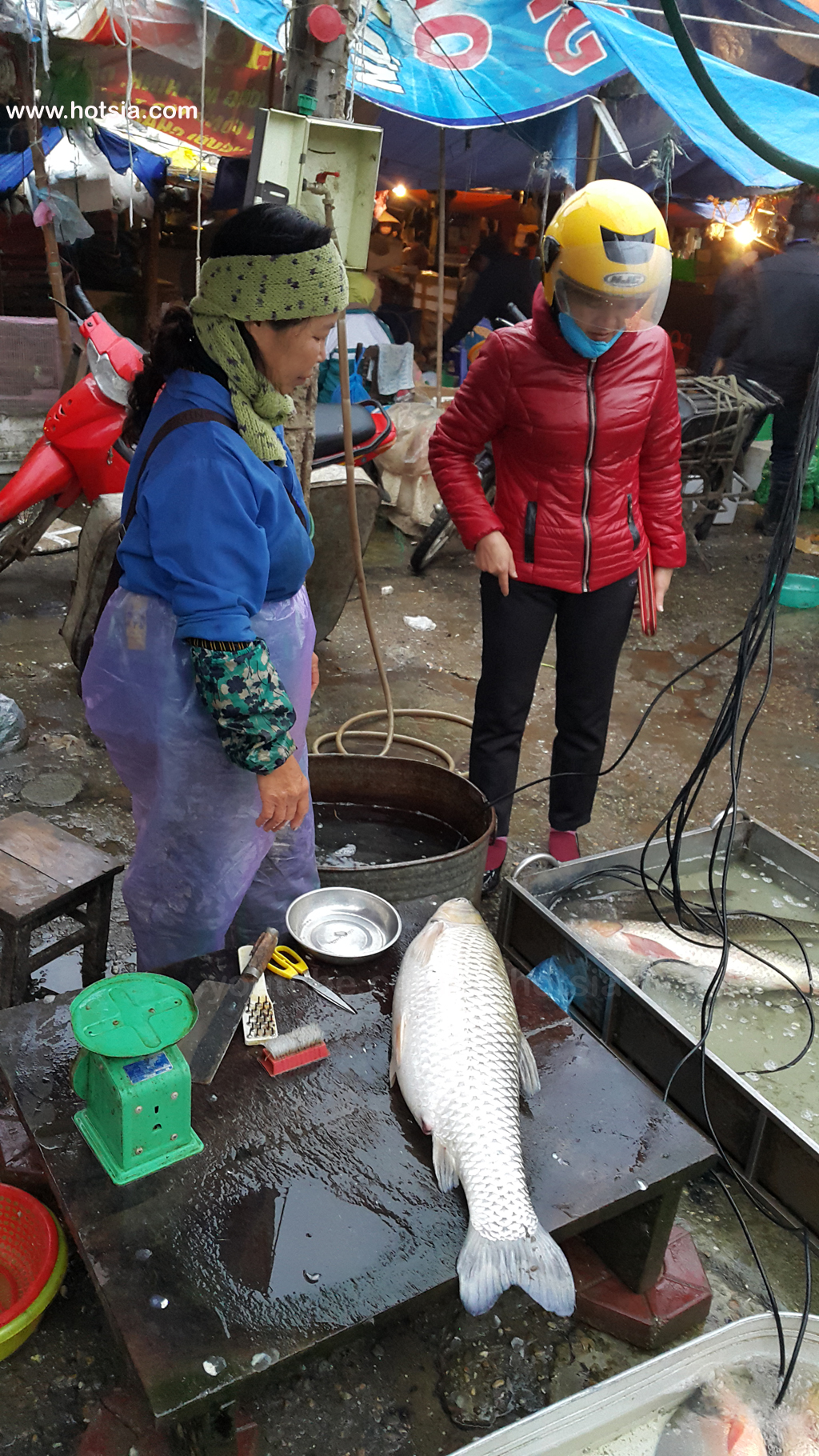 เมืองเหวียตจี่(Viet Tri) จังหวัดฟู้เถาะ(Phu Tho) ตลาดเช้าเมืองเหวียตจี่(Viet Tri morning market)