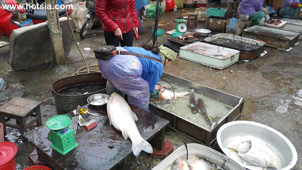 เมืองเหวียตจี่(Viet Tri) จังหวัดฟู้เถาะ(Phu Tho) ตลาดเช้าเมืองเหวียตจี่(Viet Tri morning market)