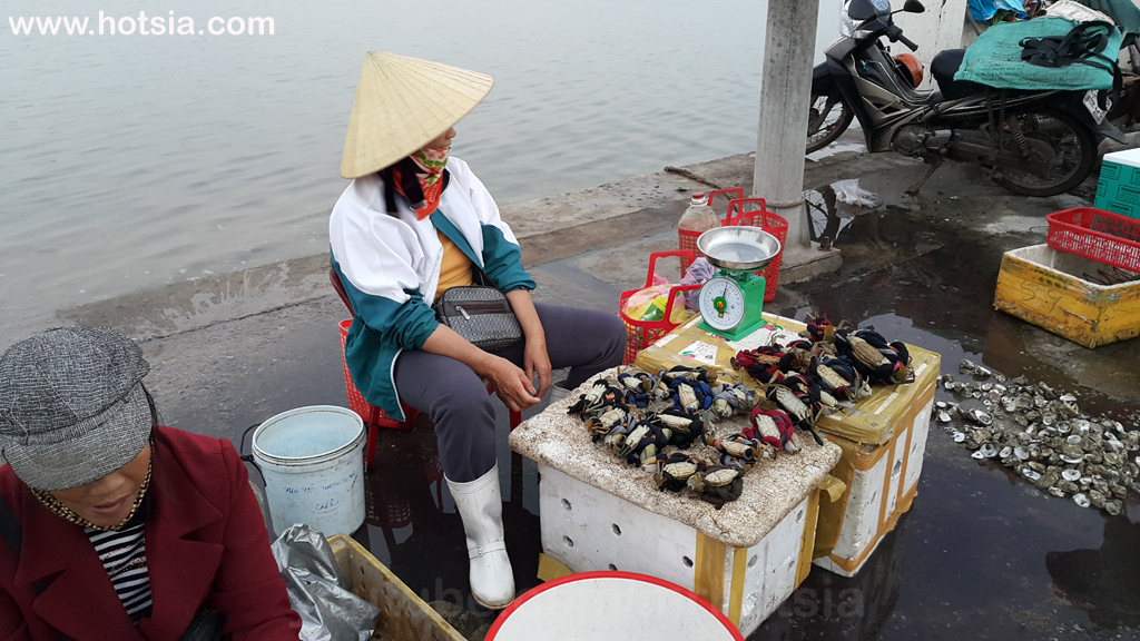 จังหวัดกว๋างบิ่ญ ตลาดเย็นเมืองด่งเฮ้ย จังหวัดกว๋างบิ่ญ