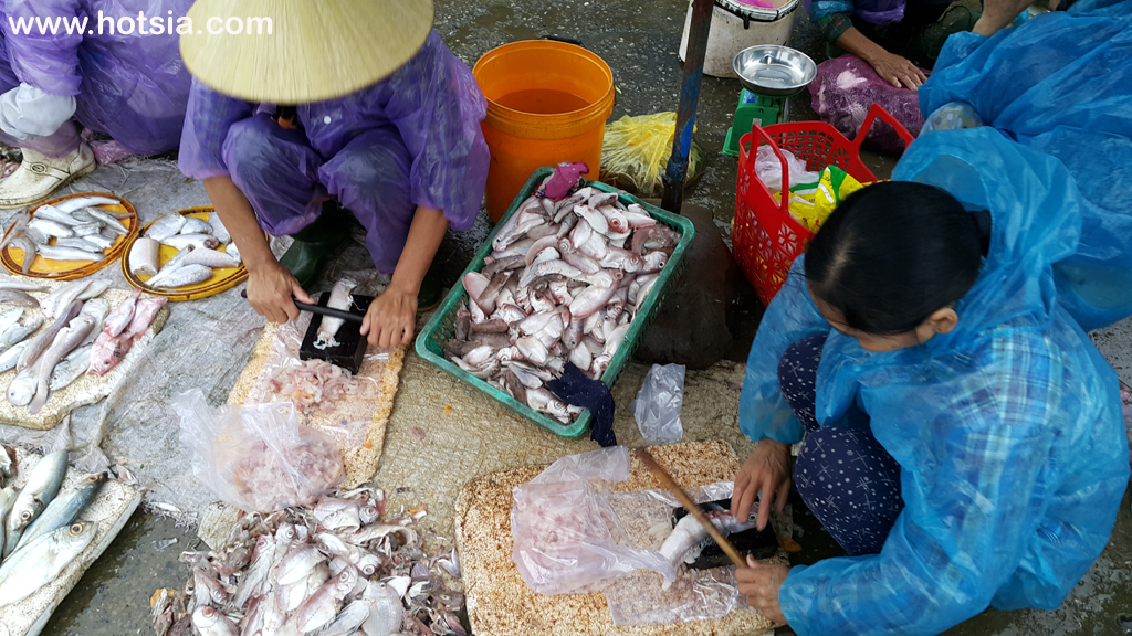 จังหวัดกว๋างบิ่ญ ตลาดเช้าเมืองด่งเฮ้ย จังหวัดกว๋างบิ่ญ เวียดนาม