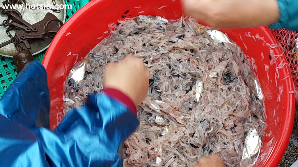 จังหวัดกว๋างบิ่ญ ตลาดเช้าเมืองด่งเฮ้ย จังหวัดกว๋างบิ่ญ เวียดนาม