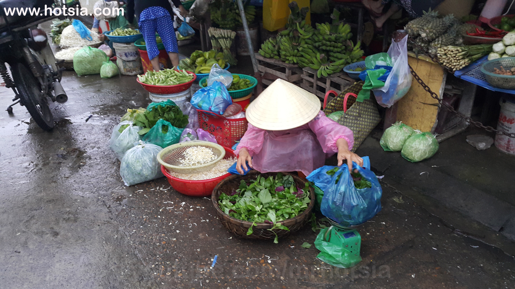 แบกเป้ฮอยอัน ตลาดเช้าฮอยอัน 2559