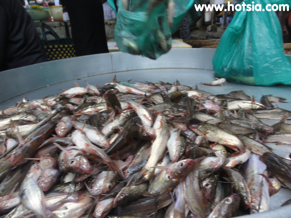 เที่ยวจังหวัดช็อกจรัง(Soc trang) ตลาดช็อกจรัง(Soc trang market)