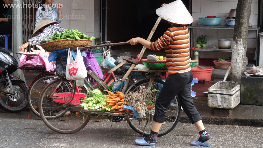 จังหวัดท้ายบิ่ญ เวียดนาม จักรยานไร้คนขับ จังหวัดท้ายบิ่ญ