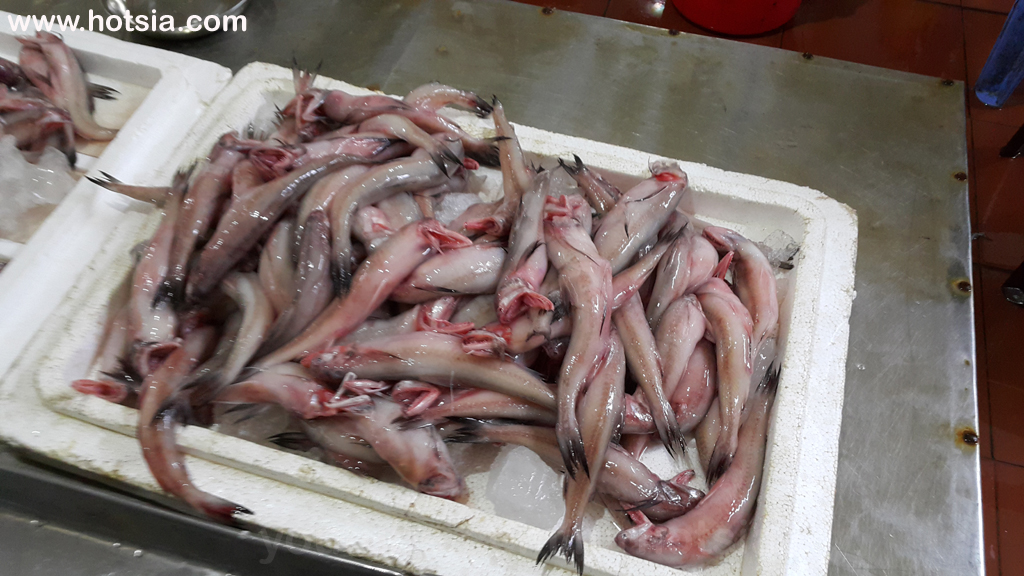 ตลาดเช้าจังหวัดท้ายบิ่ญ เวียดนาม ตลาดเช้าจังหวัดท้ายบิ่ญ