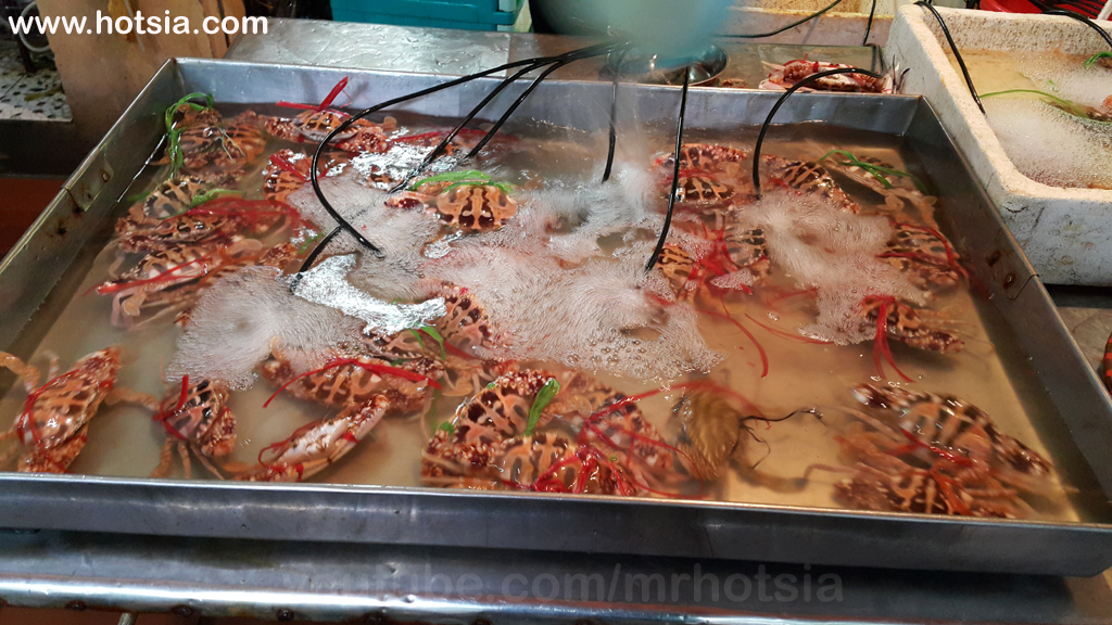 ตลาดเช้าจังหวัดท้ายบิ่ญ เวียดนาม ตลาดเช้าจังหวัดท้ายบิ่ญ