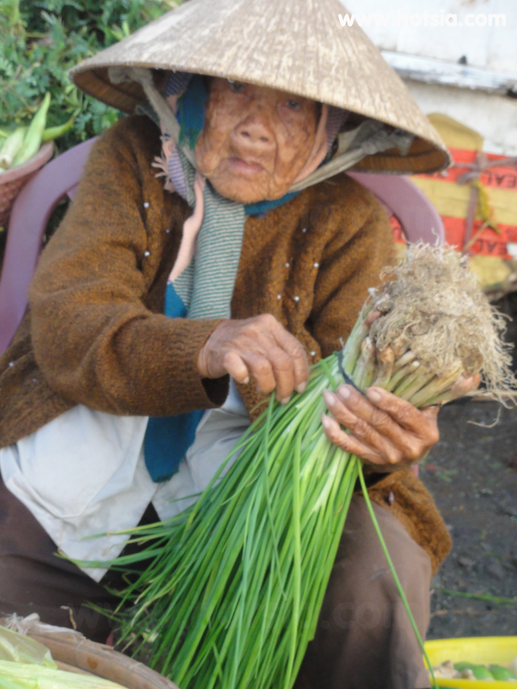 เตี่ยนยาง Tien Giang ตลาดเช้าหมีเทอ จังหวัดเตี่ยนยาง(my tho market)