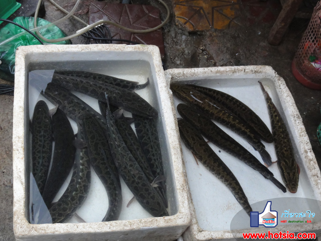 จังหวัดหวิงฟุก ตลาดหวิงเยียน