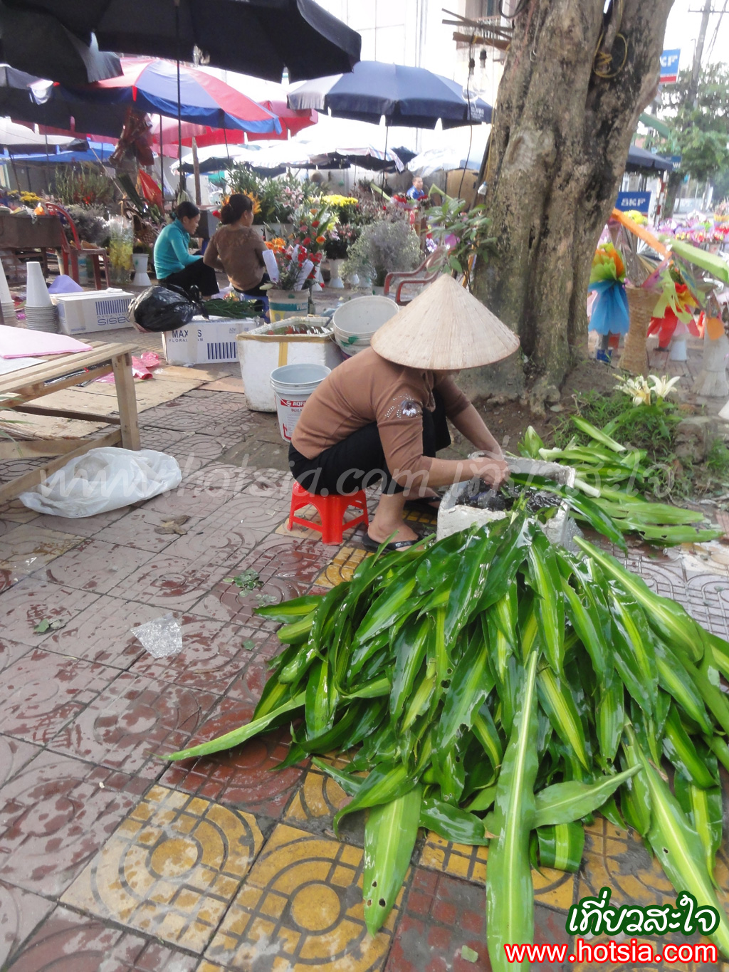 จังหวัดเยนไบ๋ ตลาดเยนไบ๋